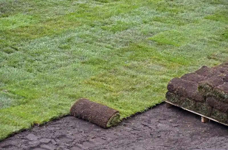 How long after installing sod can you walk on it in Portsmouth, VA 