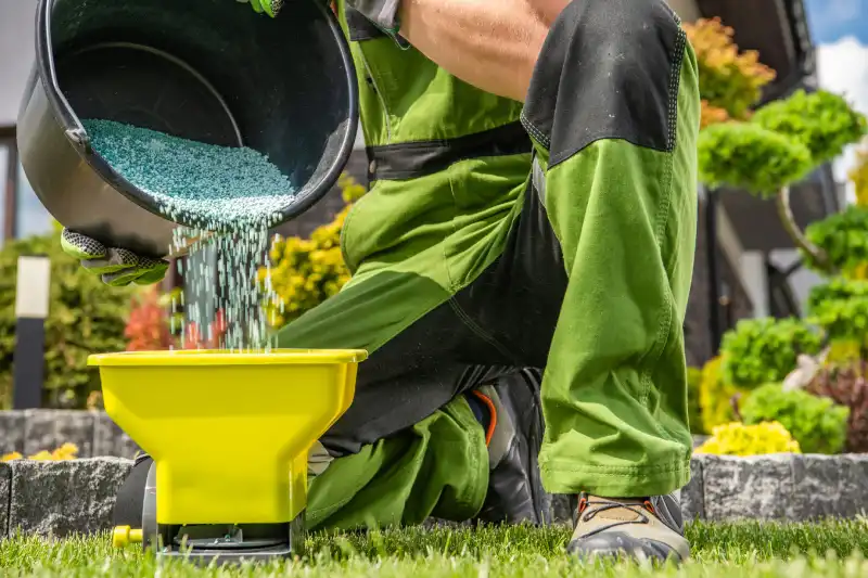 How often should you fertilize your lawn in Portsmouth, VA 