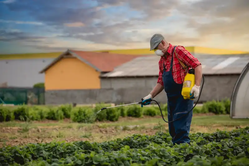 How often should you fertilize your lawn in Portsmouth, VA 