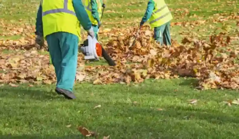 How to clear a yard full of weeds in Portsmouth, VA 