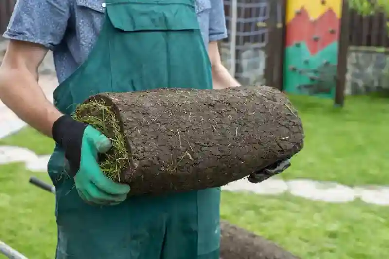 How to lay sod over existing lawn in Portsmouth, VA 