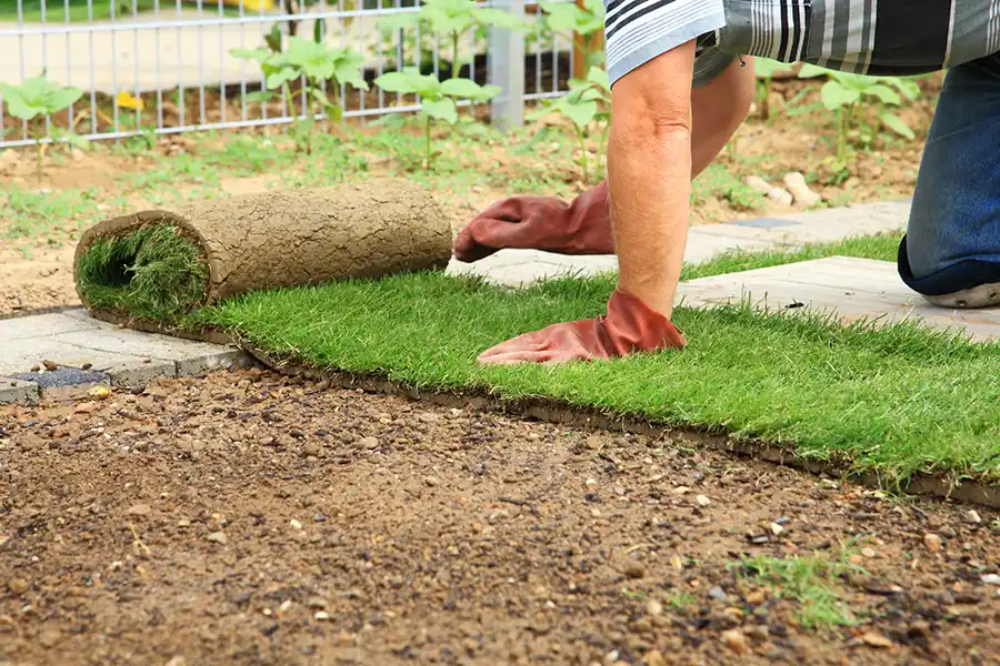 How to lay sod over existing lawn in Portsmouth, VA 