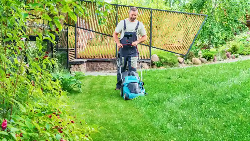 Reliable Lawn Mowing Services in Portsmouth, VA 