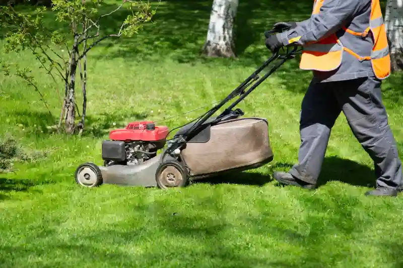 Professional Lawn Mowing Services in Portsmouth, VA 