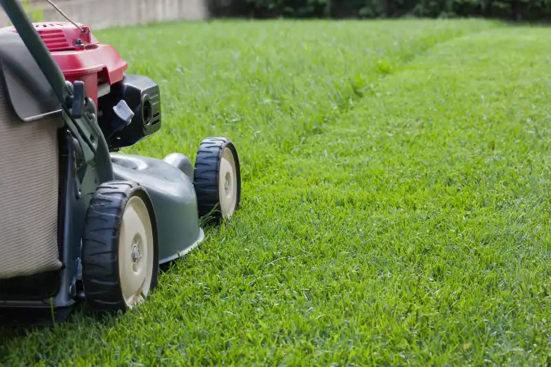 Outstanding Lawn Mowing Services in Portsmouth, VA 