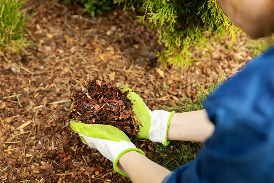 Professional Mulching Service in Portsmouth, VA 