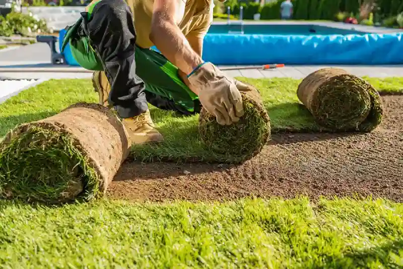 Reliable Sod Installation Service in Portsmouth, VA 