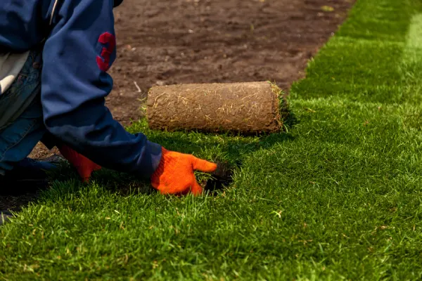 Sod Installation