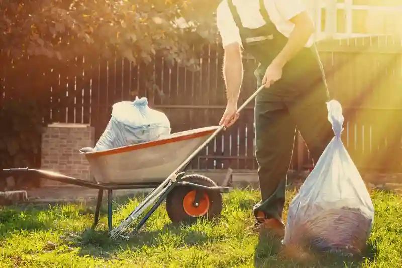 Reliable Yard cleanup Service in Portsmouth, VA 