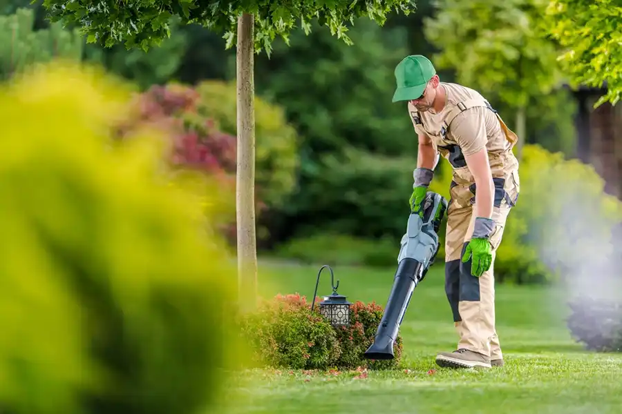 Professional Yard cleanup Service in Portsmouth, VA 